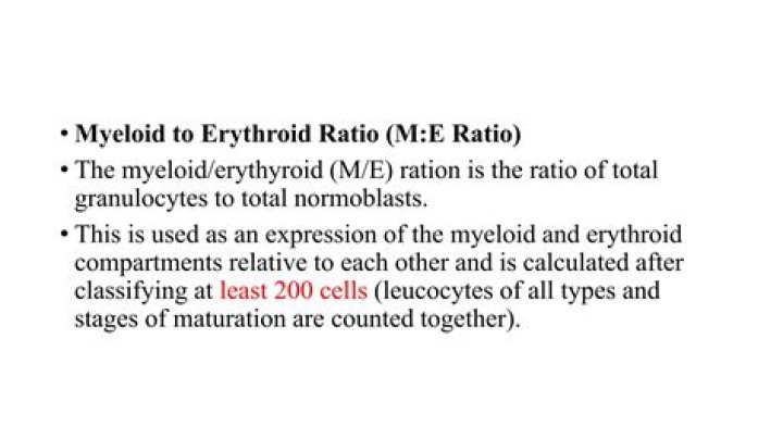 What is normal myeloid to erythroid ratio?