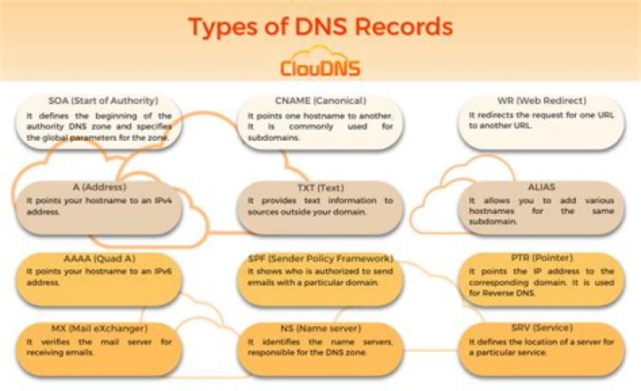 What is NS type record in DNS?