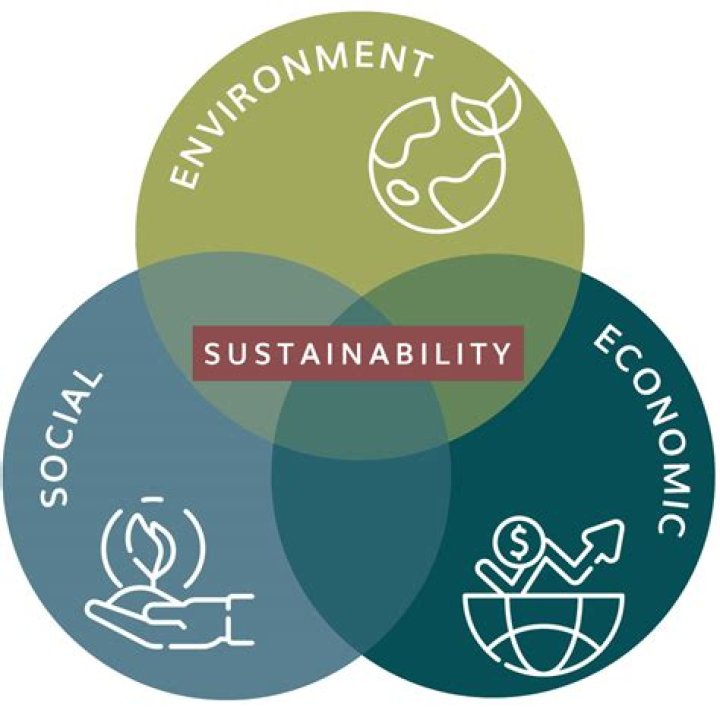 What is one example of the economic sustainability?