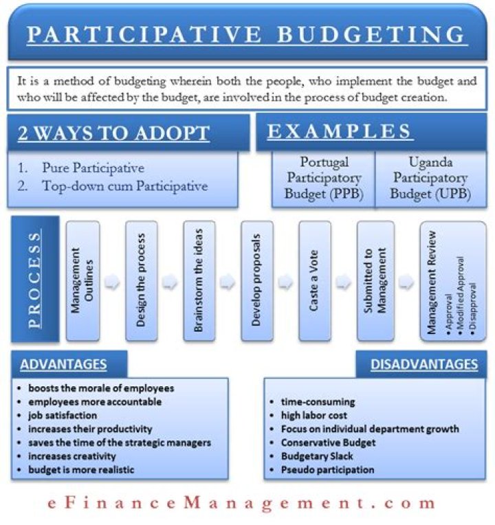 What is participative in economics?