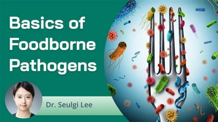 What is pathogen in food?