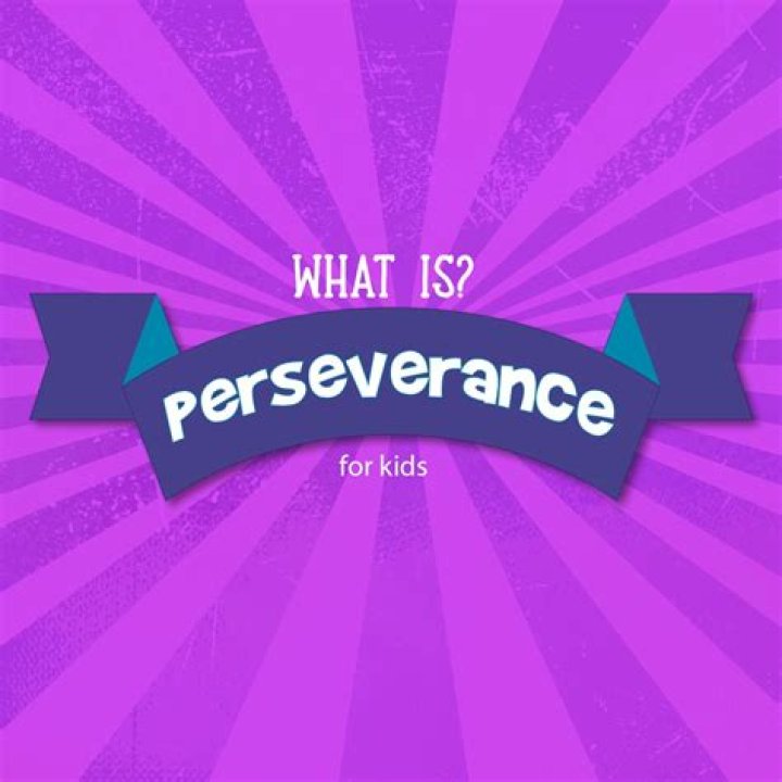 What is perseverant mean?