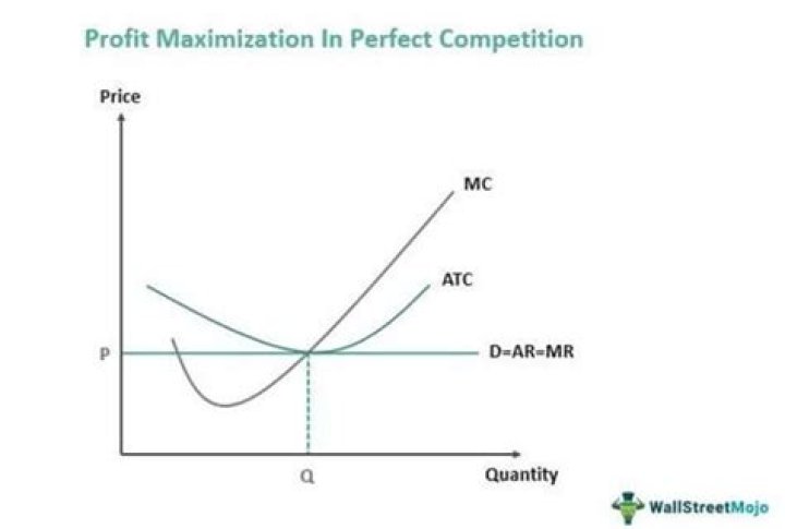 What is profit maximization in perfect competition?