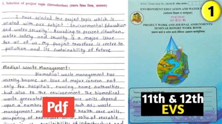 What is Project class 11th?