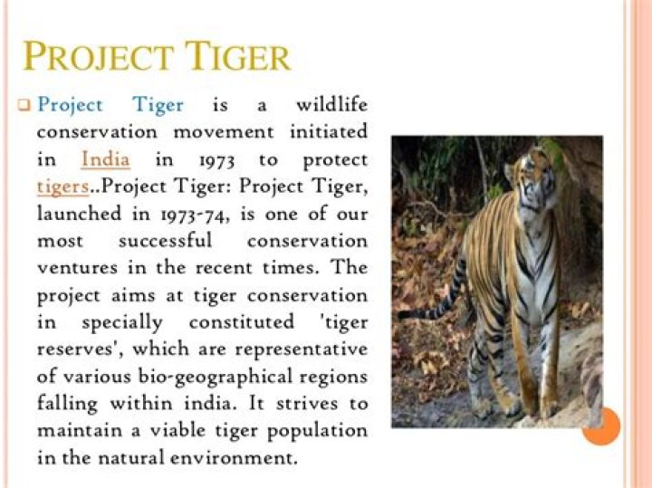 What is Project Tiger write short note on it?