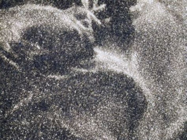 What is pulled dust grain photogravure?