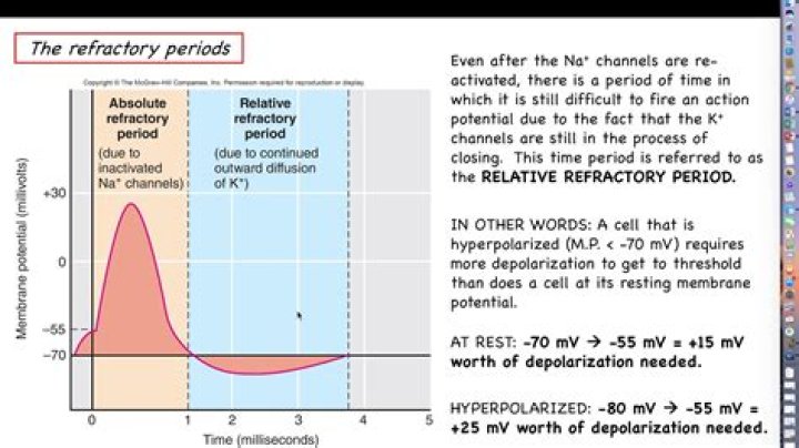 What is relative refractory period in ECG?