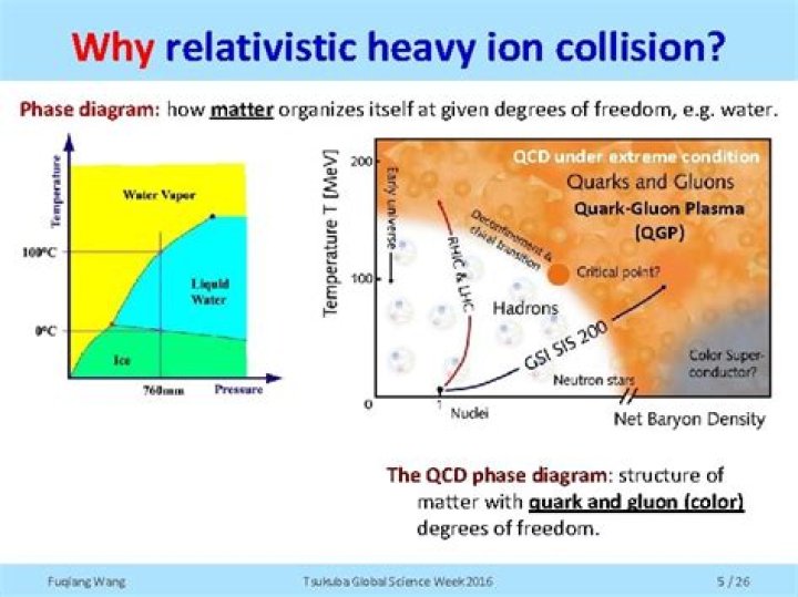 What is relativistic heavy ion collision?