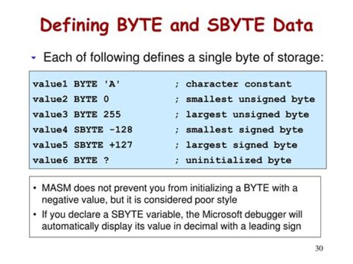 What is SByte data type?