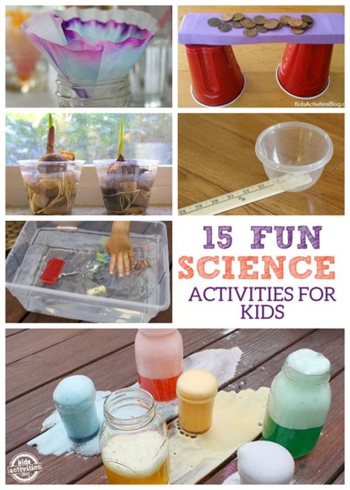 What is science activities for kids?