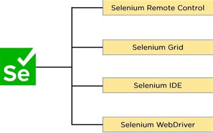 What is selenium with example?