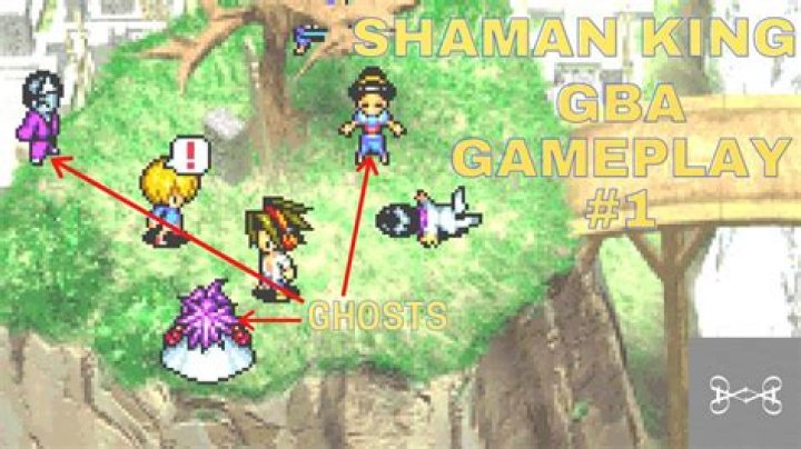 What is Shaman King based on?