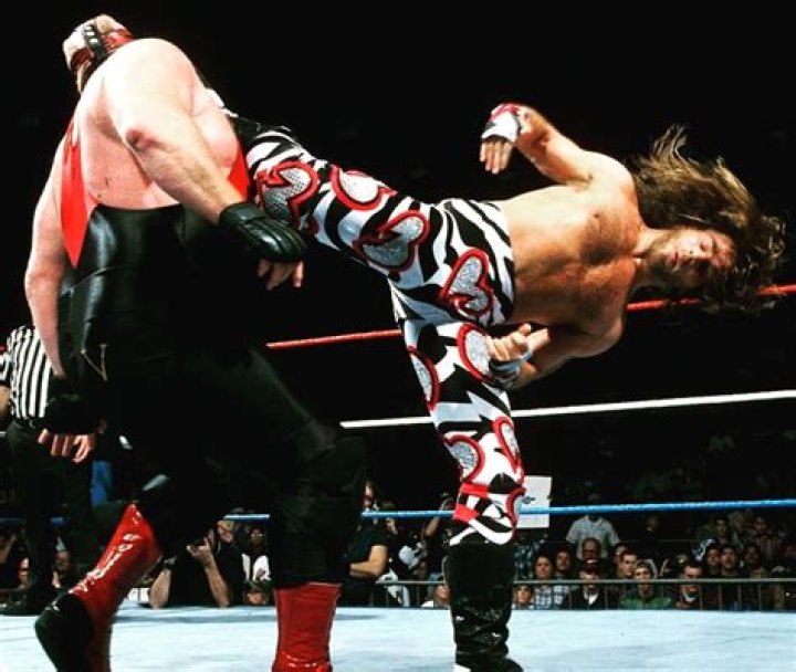 What is Shawn Michaels kick called?