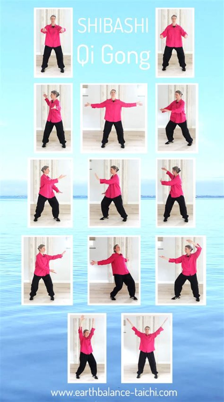 What is Shibashi exercise?