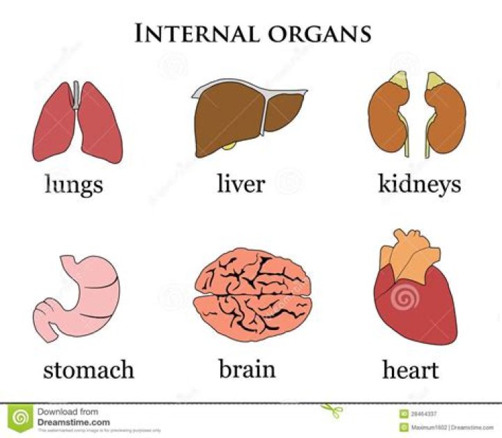 What is single-organ?