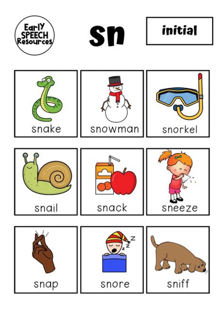What is sn in phonics?