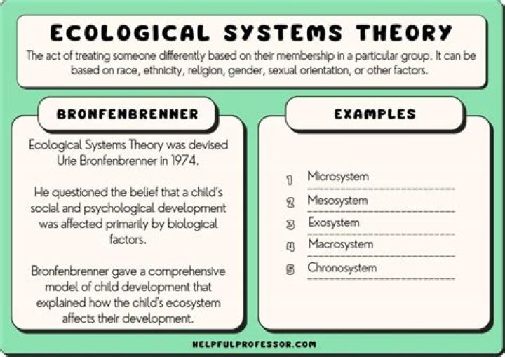 What is social ecological theory?