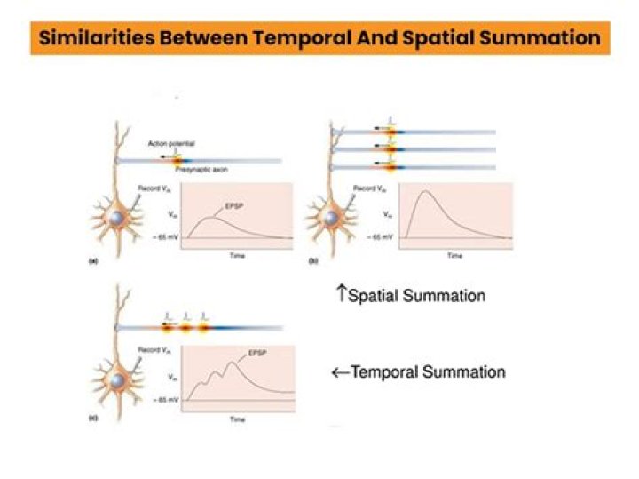What is spatial and temporal correlation?