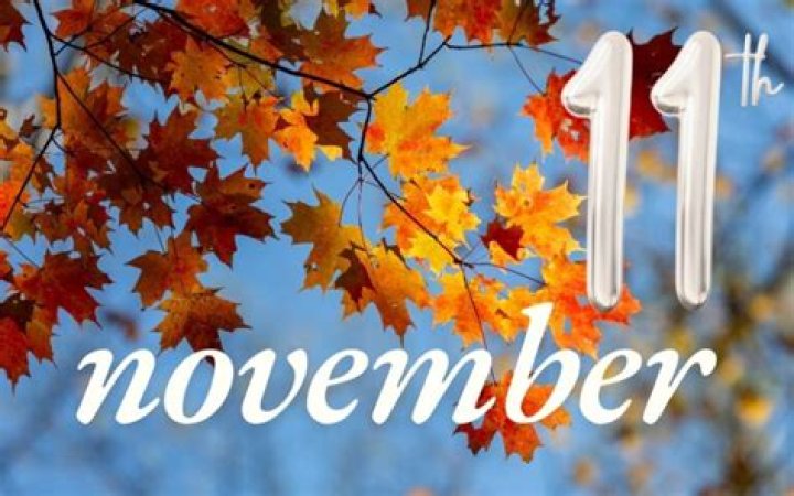 What is special about 11th November?