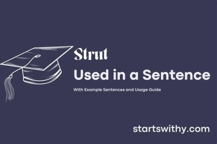 What is strut in a sentence?