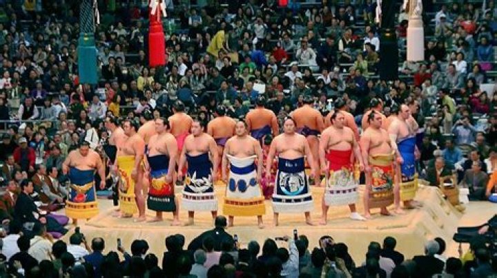 What is sumo wrestling in Japan?