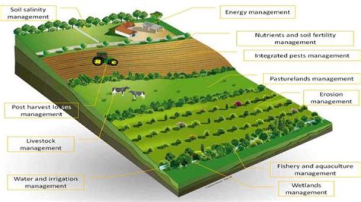 What is system of agriculture?