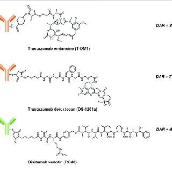 What is T-DM1?