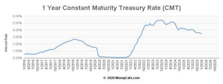 What is the 1 year Treasury constant maturity rate?