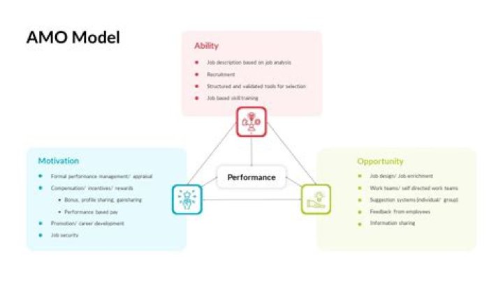 What is the AMO model Purcell?