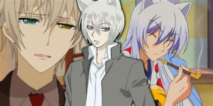 What is the anime with the fox boy?