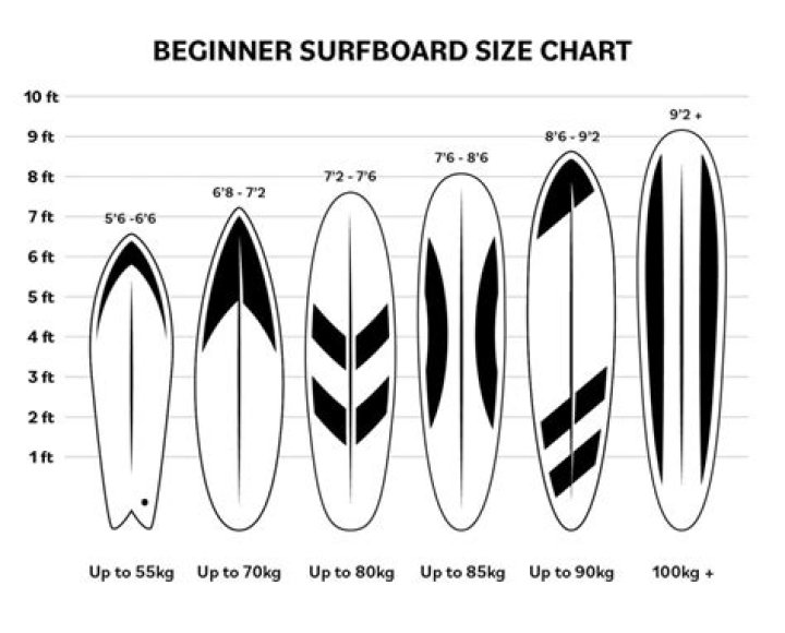 What is the average price of a surf board?