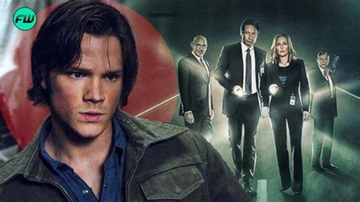 What is the banned episode of X Files?