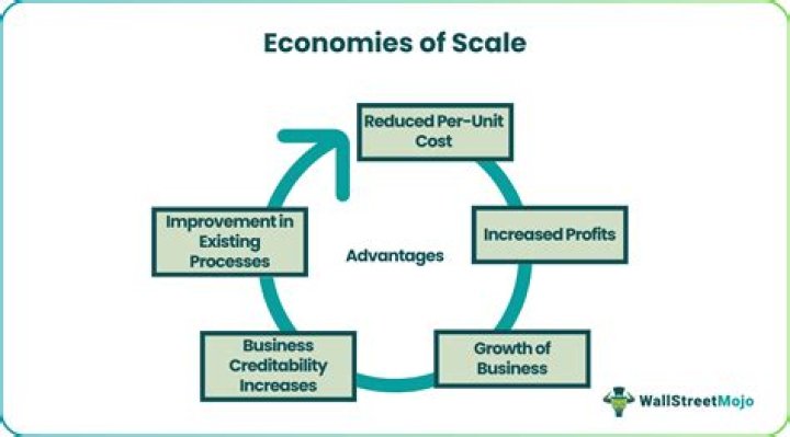 What is the benefit of having economies of scale quizlet?