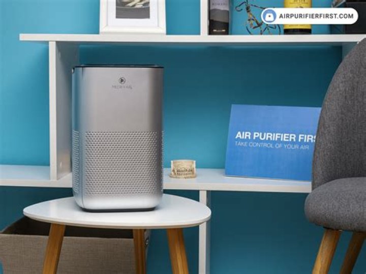 What is the best air purifier in UAE?