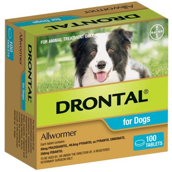 What is the best Allwormer for dogs?