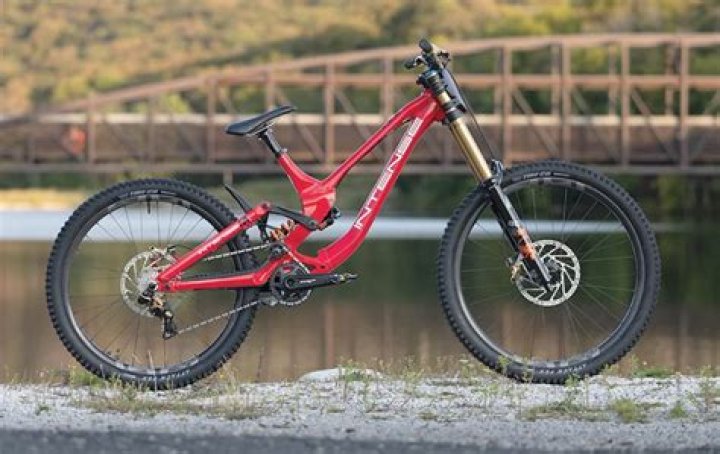 What is the best downhill mountain bike in the world?