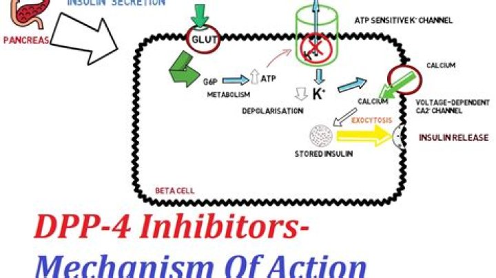 What is the best DPP-4 inhibitors?