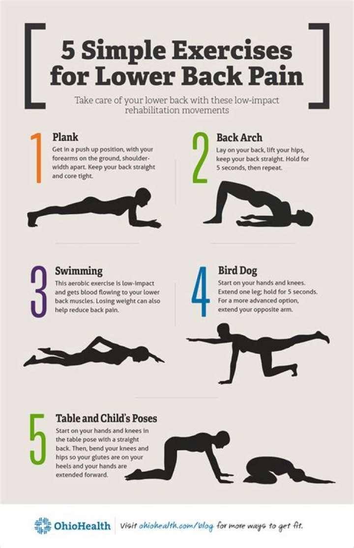 What is the best exercise for lower back pain?