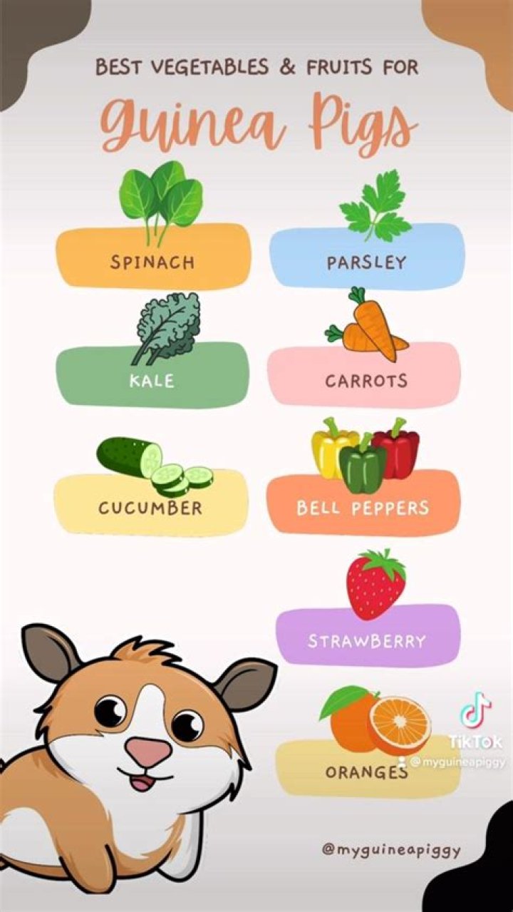 What is the best feed for Guineas?