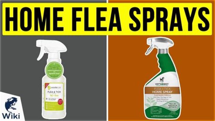 What is the best flea spray for inside the house?