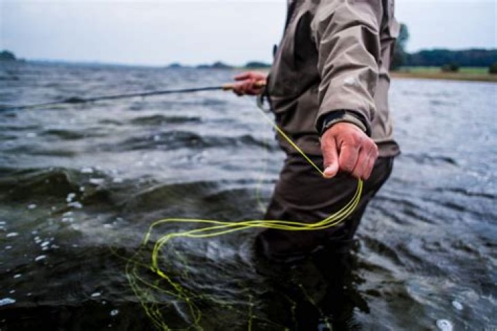 What is the best fly line on the market?