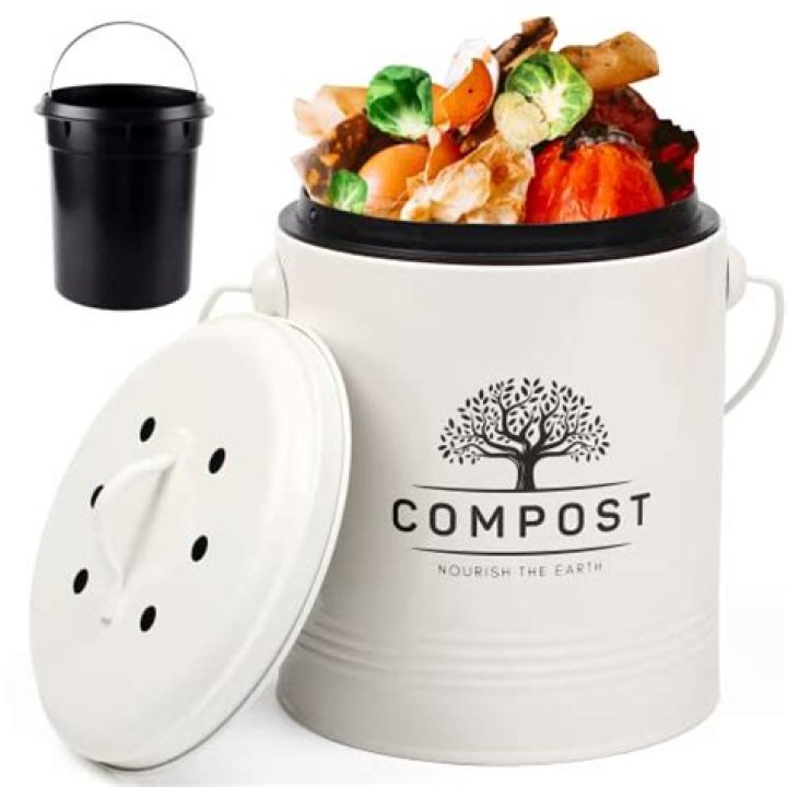What is the best on the counter compost bin?