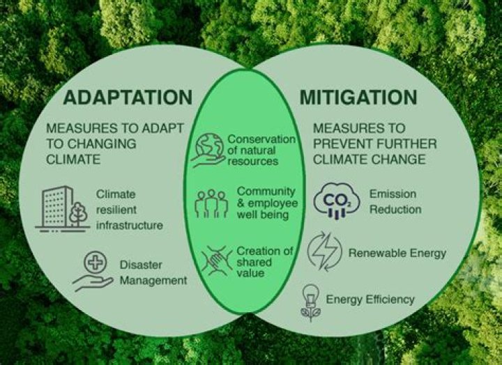 What is the best option for us to adapt to climate change?