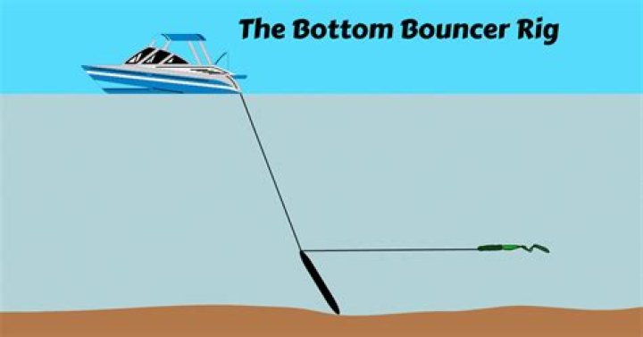What is the best rig for bottom fishing?