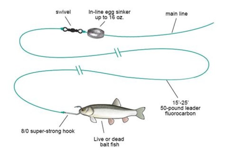 What is the best rig for catching snapper?