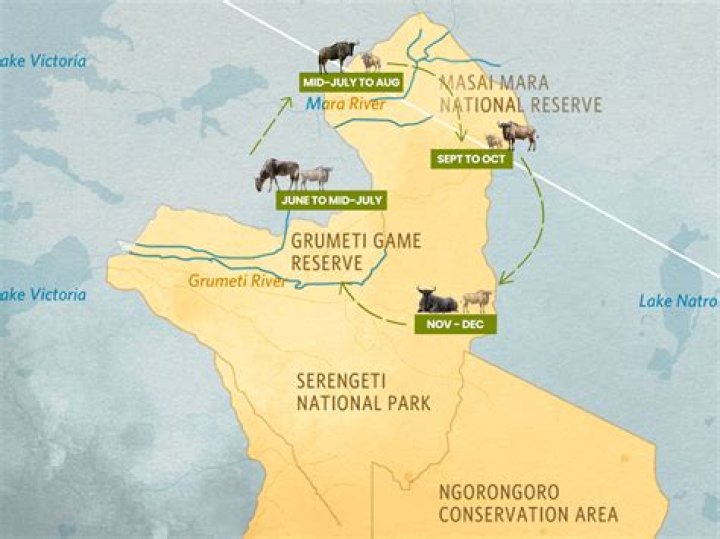 What is the best time to visit Masai Mara?