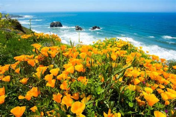 What is the best time to visit Mendocino?
