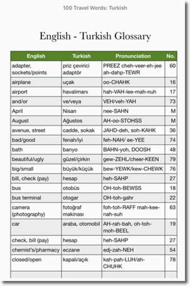 What is the best Turkish English dictionary?