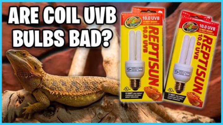 What is the best UVB light for reptiles?