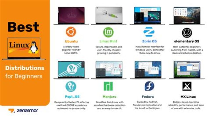 What is the best version of Linux for old computers?
